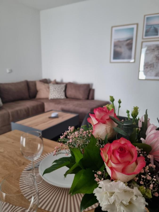 Glueckauf - Gemuetliche Ferienwohnung Nahe Steinhude Hagenburg المظهر الخارجي الصورة